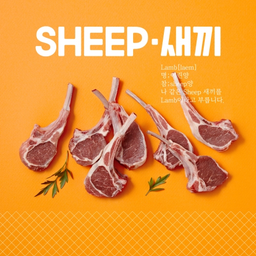 [SHEEP새끼] 뉴질랜드 3개월미만 프렌치랙 480g (냉동)