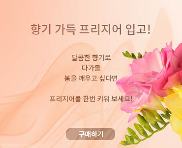 프리지어 판매